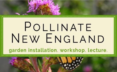 Pollinate New England