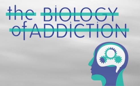 Brain Image with Title The Biology of Addiction