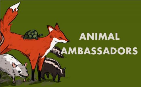 Animal Ambassadors