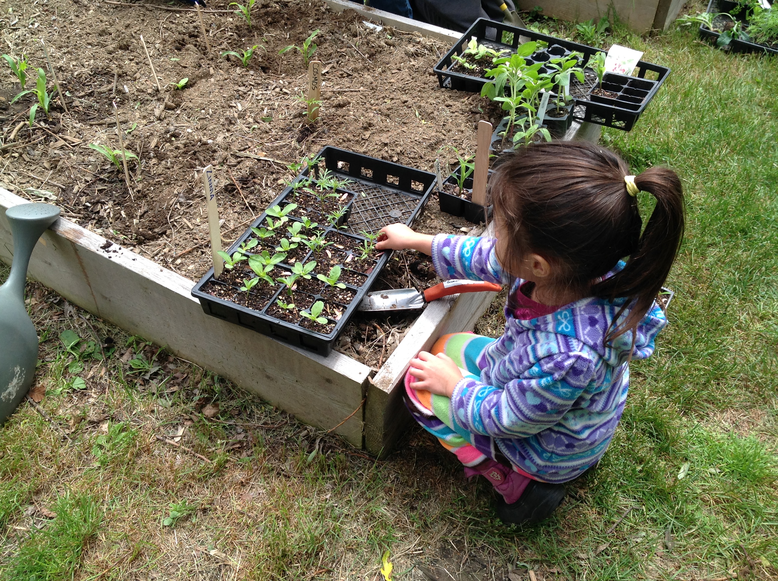 Child planting in garden bed