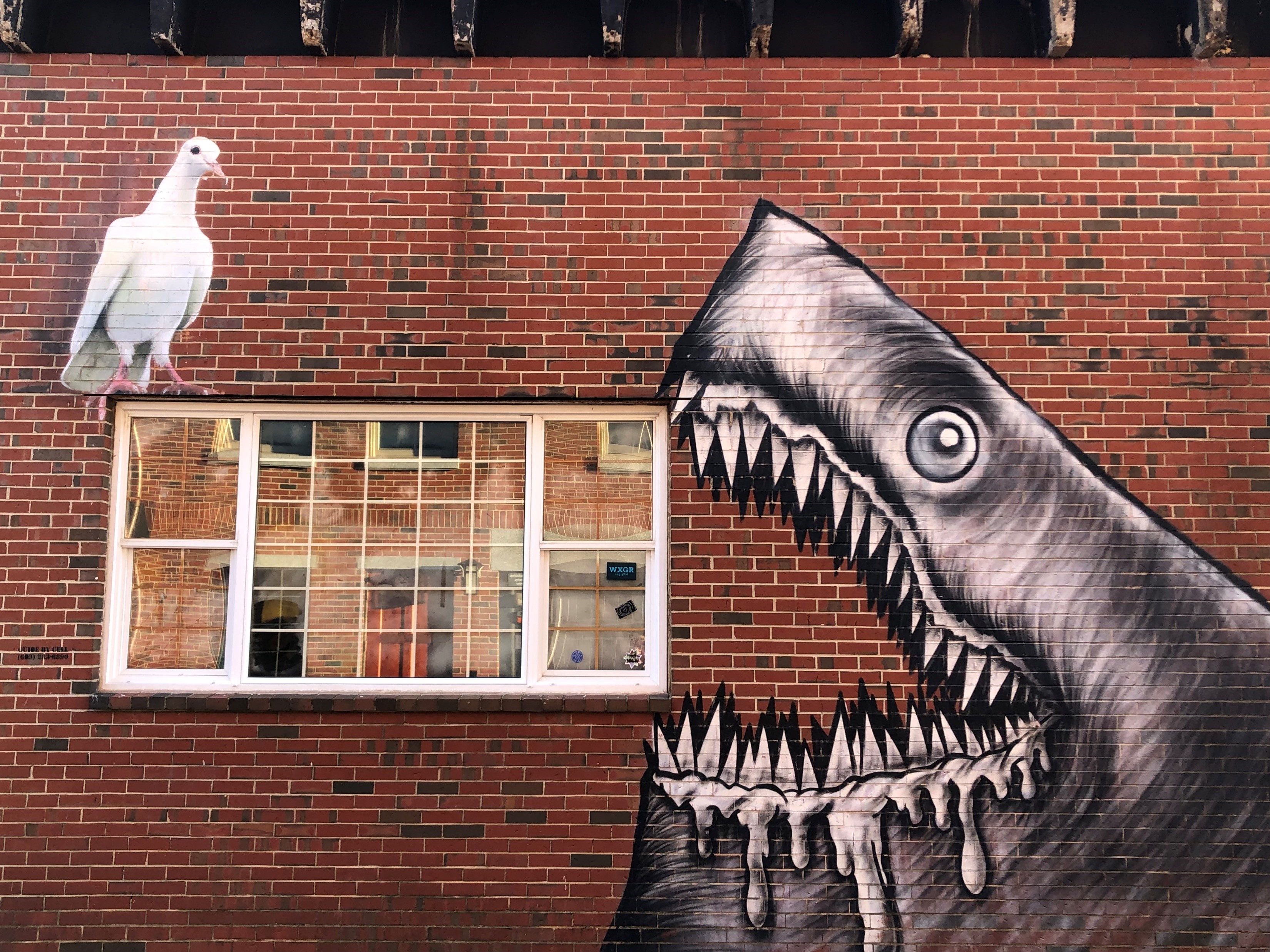Shark Mural with seagull