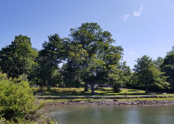Haven Park as seen from South Mill Pond