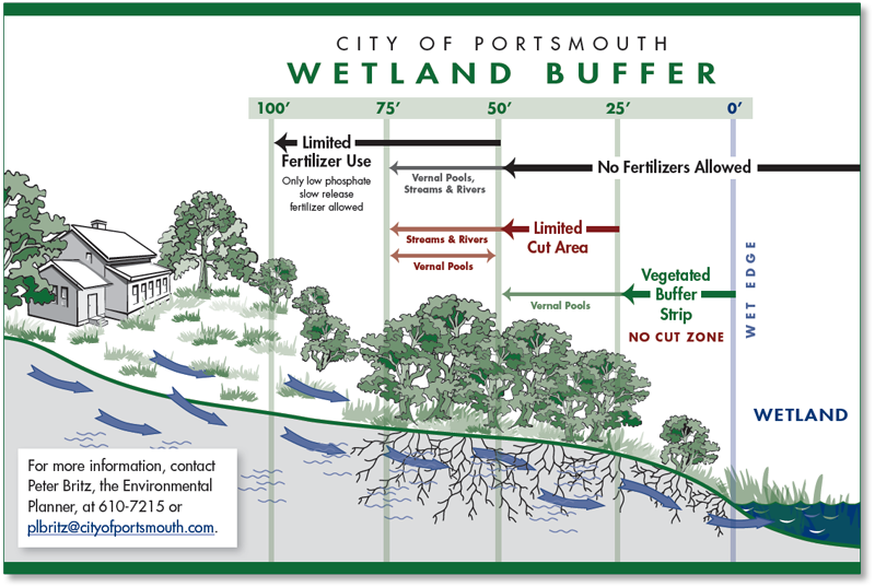 Wetland Buffer Diagram