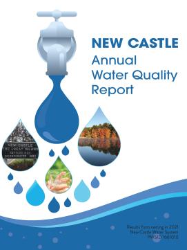 New Castle Report Results for 2021