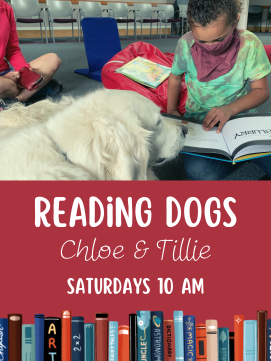 Photo of golden retriever looking on as a child reads in the library. Text: Reading Dogs Chloe & Tillie Saturdays 10 AM