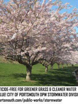 Pesticide-free lawn care