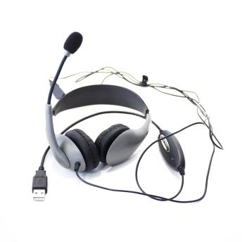 Headset with Mic