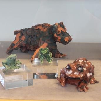 Display case with frogs