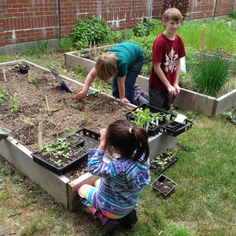Youth Planting Day 2019