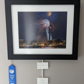 Michael Goodman - Portsmouth FIreworks - 1st Place, Professional Category