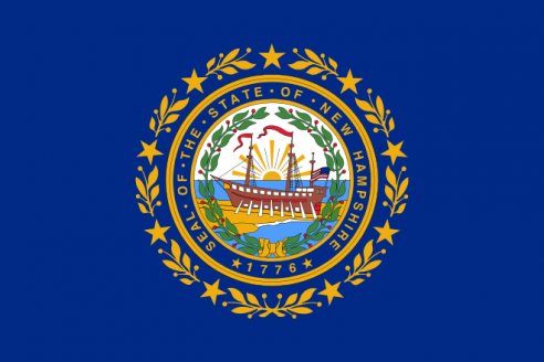 NH State Flag