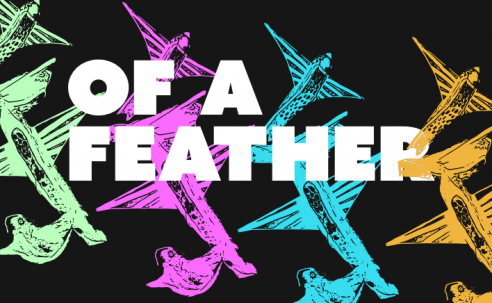 Of A Feather