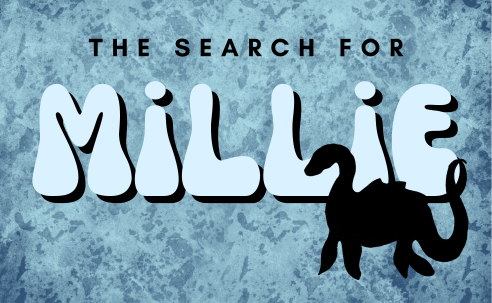 The Search for Millie